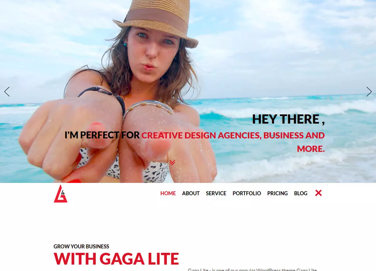 Gaga Lite-Best Free One page WordPress Themes - one pager wordpress theme free