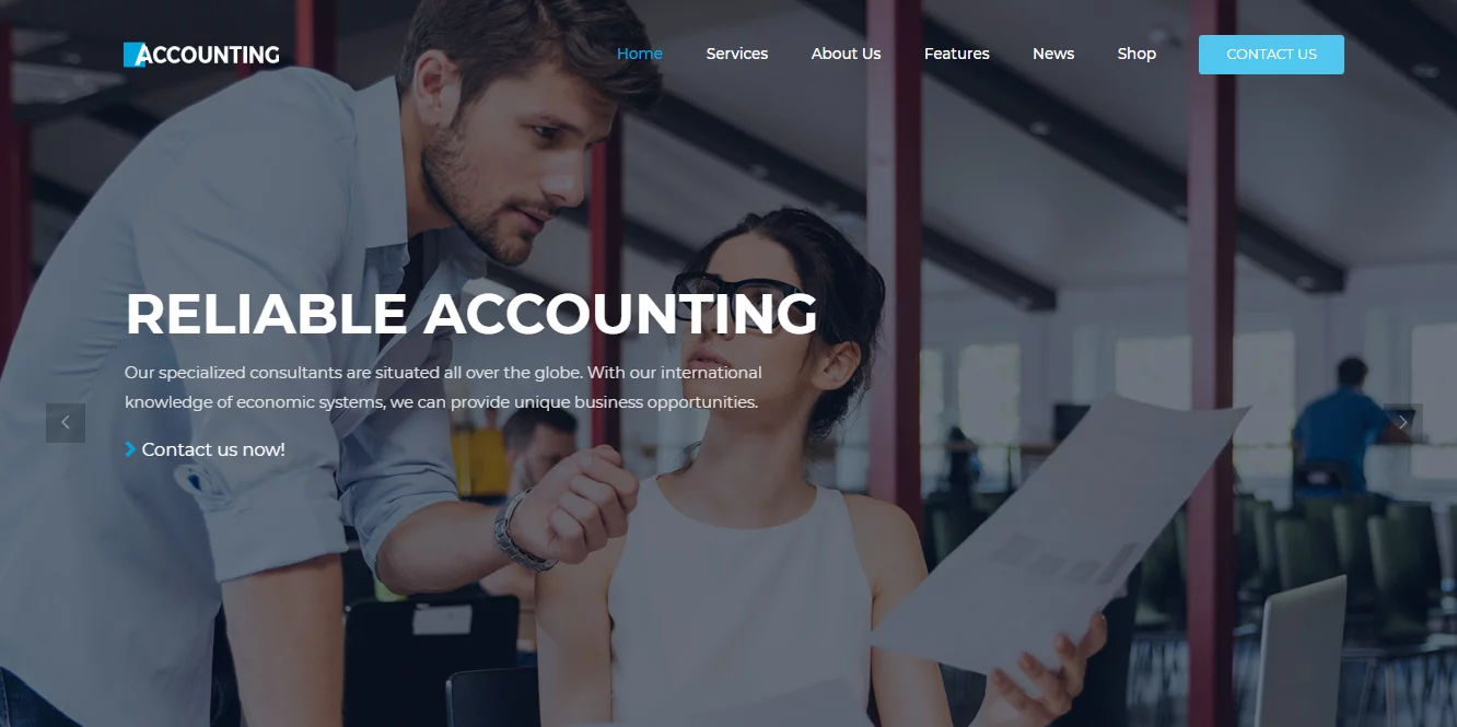 Accounting - Best Financial Company WordPress Themes
