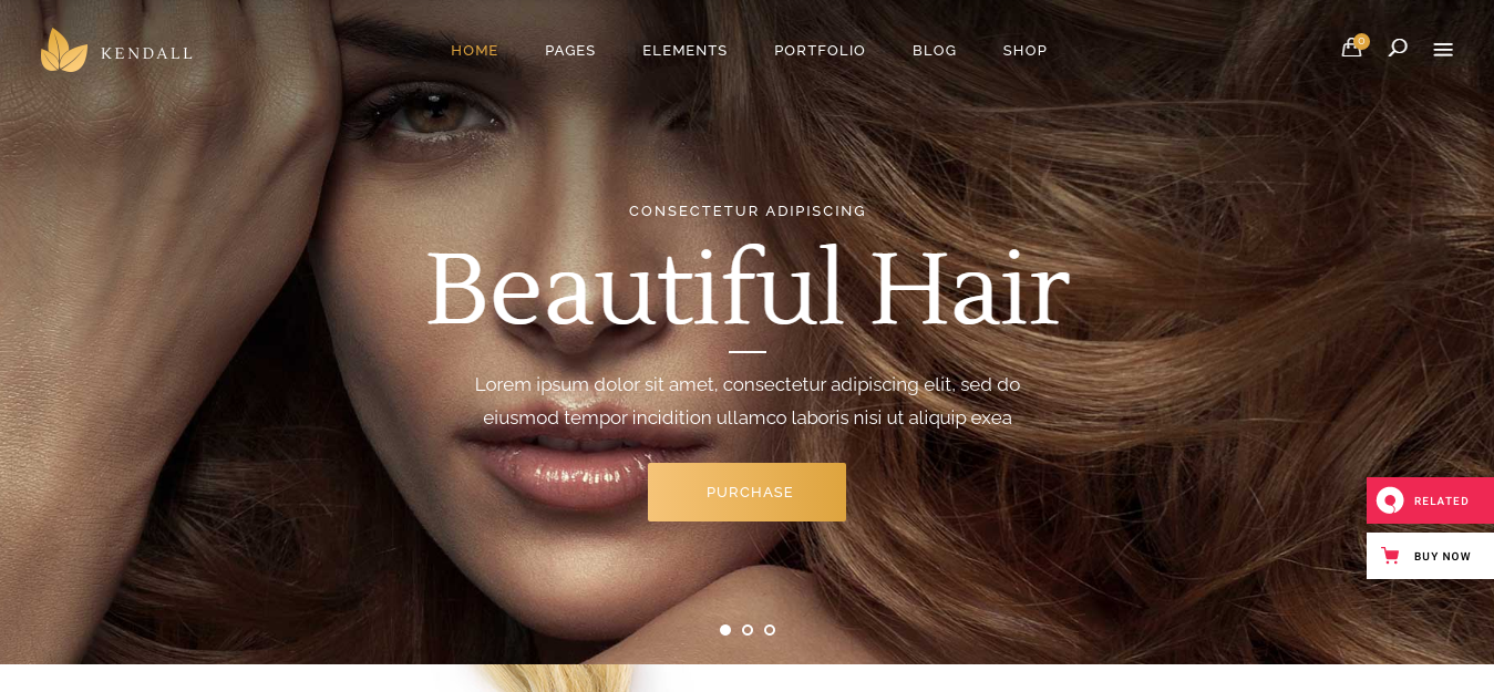Kendall – Best Hairdresser WordPress Theme